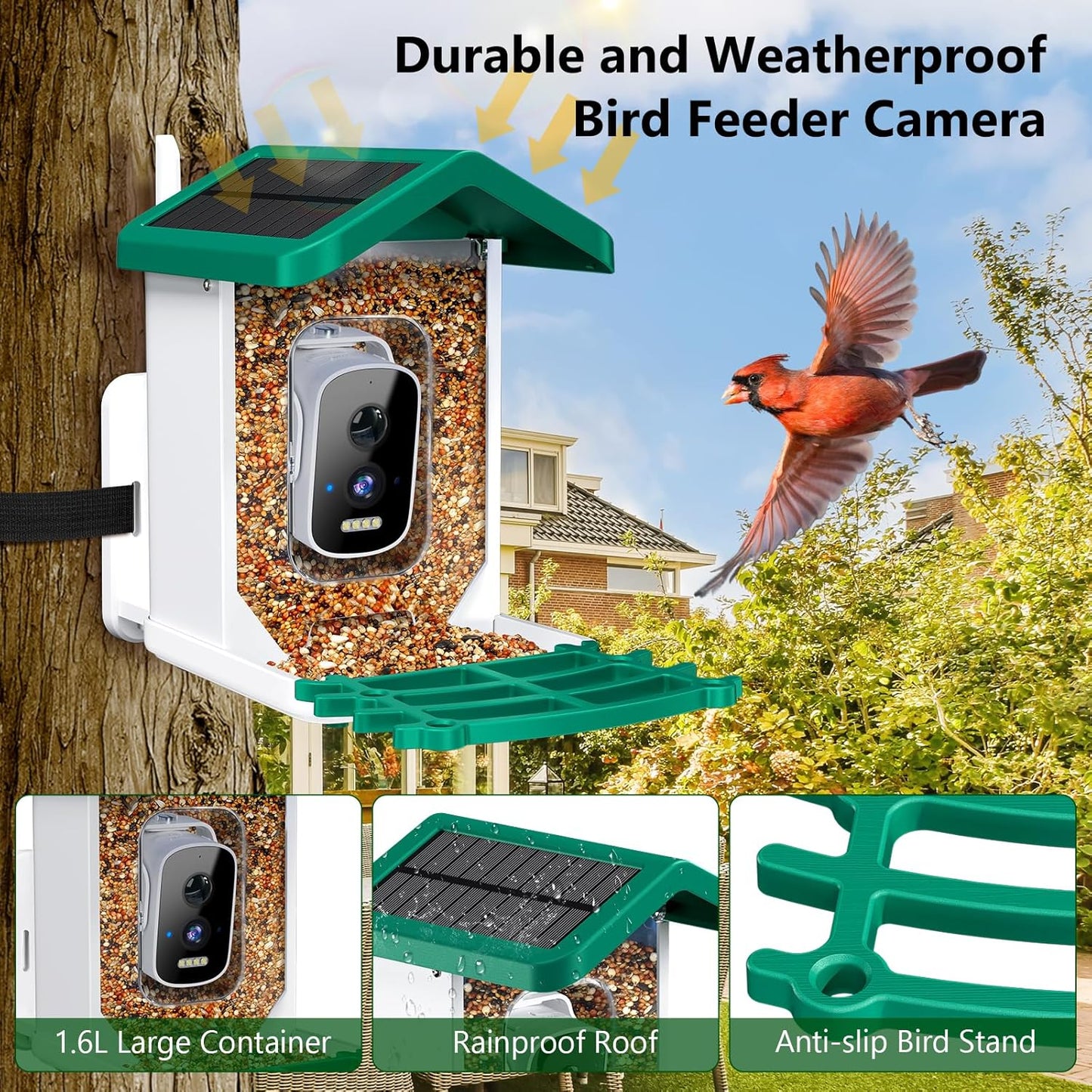 Smart Bird Feeder with Camera, AI Bird Species Identification Solar Powered Panel, 2.5K HD Video Bird House with Camera for outside Garden, Ideal Gifts for Lover,Green