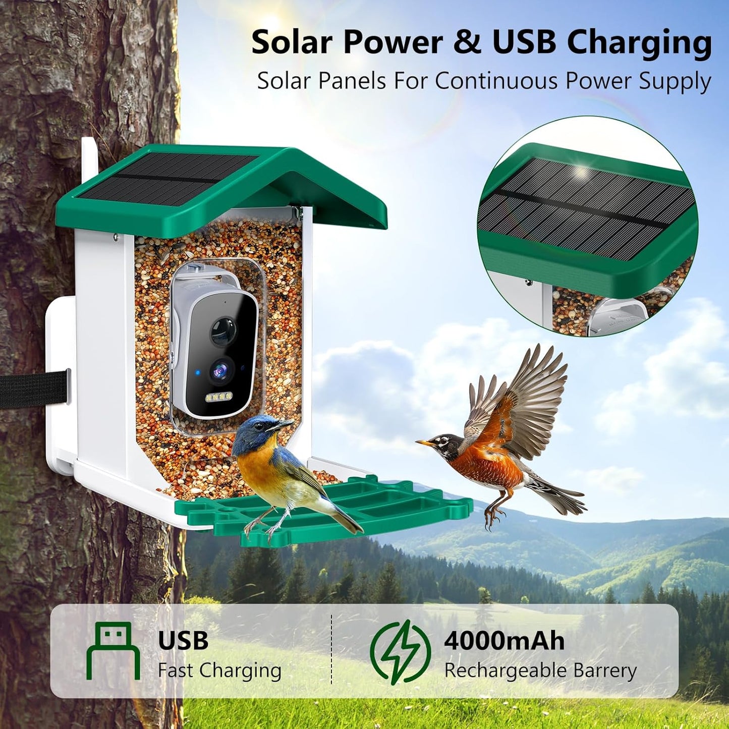 Smart Bird Feeder with Camera, AI Bird Species Identification Solar Powered Panel, 2.5K HD Video Bird House with Camera for outside Garden, Ideal Gifts for Lover,Green