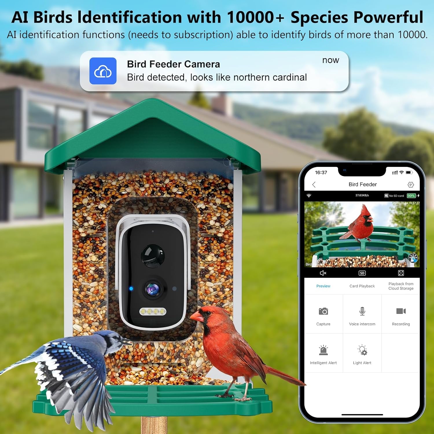 Smart Bird Feeder with Camera, AI Bird Species Identification Solar Powered Panel, 2.5K HD Video Bird House with Camera for outside Garden, Ideal Gifts for Lover,Green